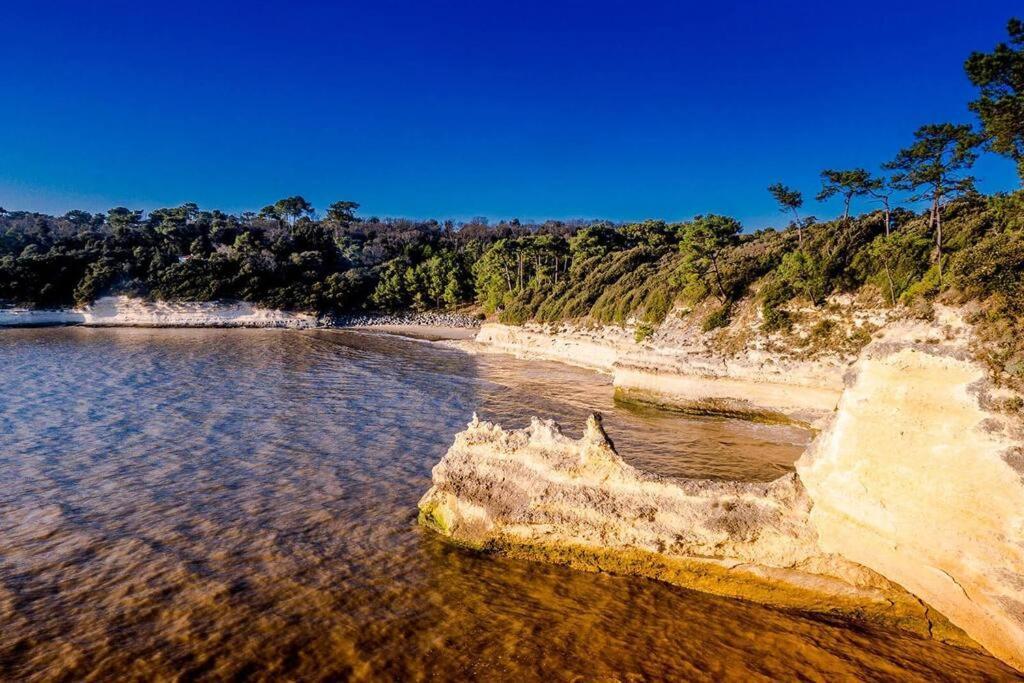 Entre Plage Et Foret - Agreable T3 Saint-Georges-de-Didonne Luaran gambar